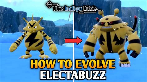 how to evolve electabuzz pixelmon|How to get electivire to evolve electabuzz : r/PixelmonMod .